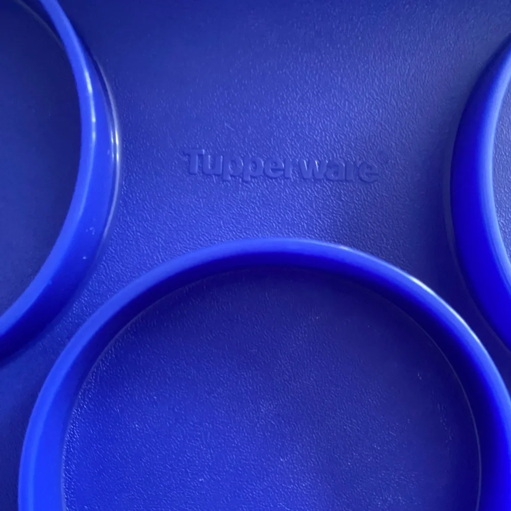 TUPPERWARE Rectangle Bake N Take Cake Cupcake Taker Carrier Blue Clear